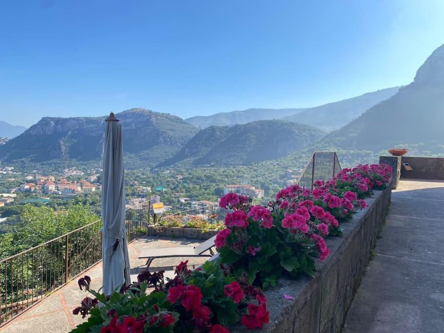 Collywood Villa Piano di Sorrento Eksteriør billede